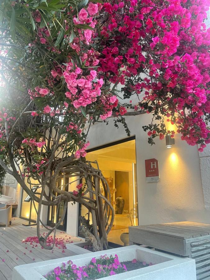 Hotel Le Mistral Porto Vecchio Exterior foto