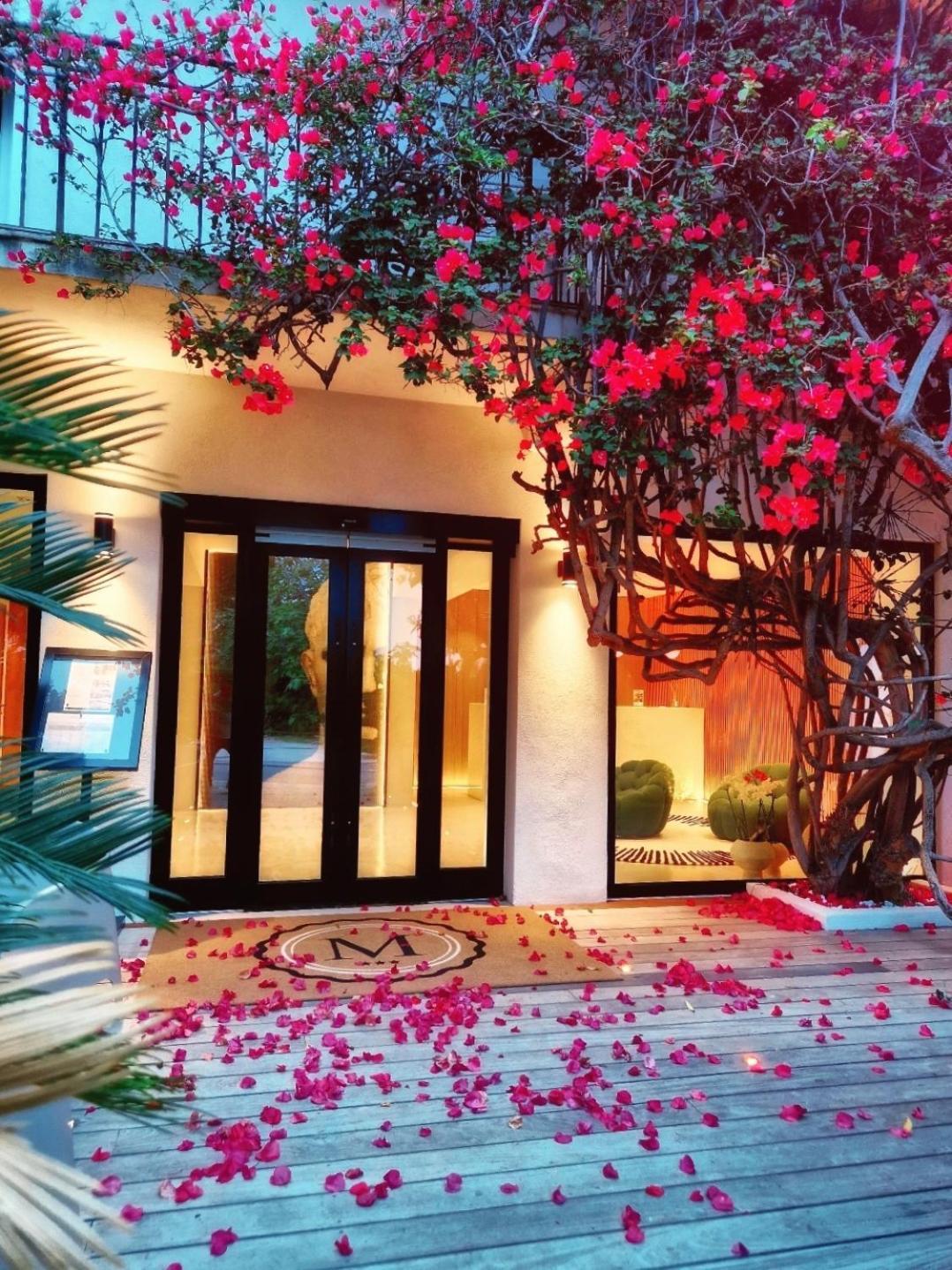 Hotel Le Mistral Porto Vecchio Exterior foto